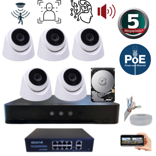 ARNA 5 MP YAPAY ZEKA 320 GB HDD DAHİL 5 KAMERALI FULL SET İÇ MEKAN GÜVENLİK SİSTEMİ - ST55320