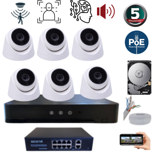 ARNA 6 KAMERALI GECE RENKLİ YAPAY ZEKA GERÇEK 5 MP 500 GB HDD DAHİL İÇ MEKAN GÜVENLİK SETİ - ST65500
